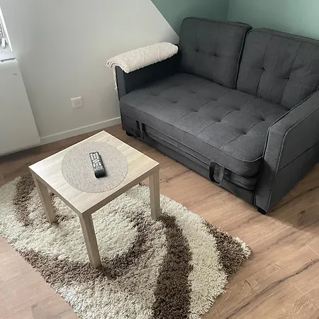 Apartment Sublime En Face De La Moselle