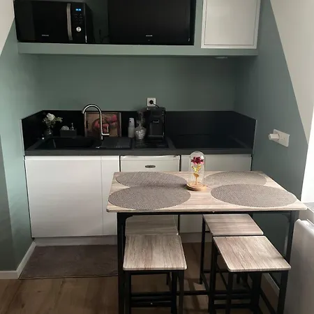 Apartment Sublime En Face De La Moselle *