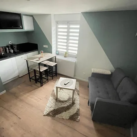 Sublime En Face De La Moselle Appartement Chavelot