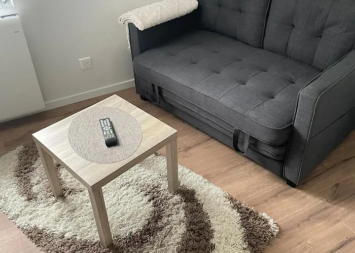 公寓 Sublime En Face De La Moselle