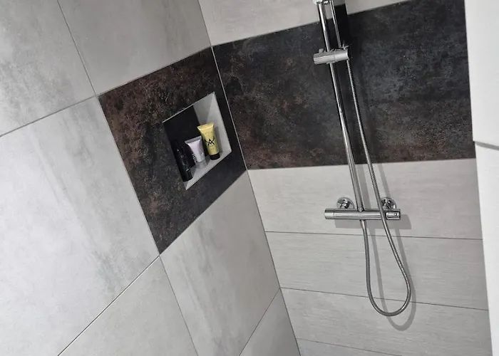 Sublime En Face De La Moselle *