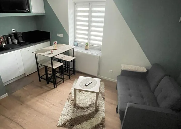 Sublime En Face De La Moselle Apartment Chavelot